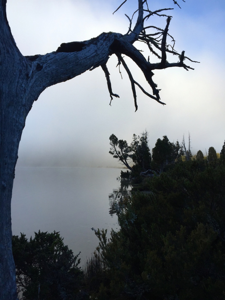 Tasmanian Wilderness Lake